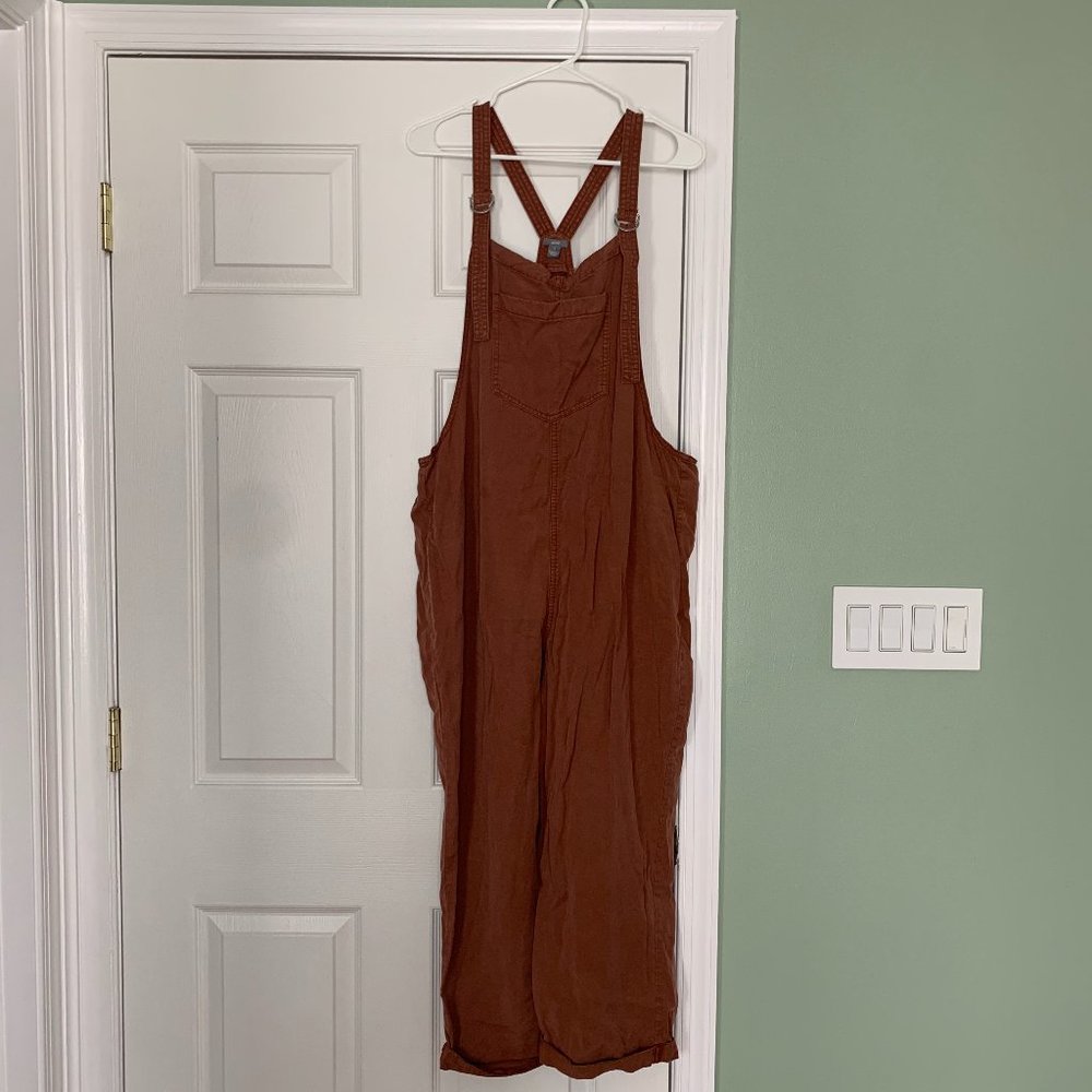 Aerie overalls